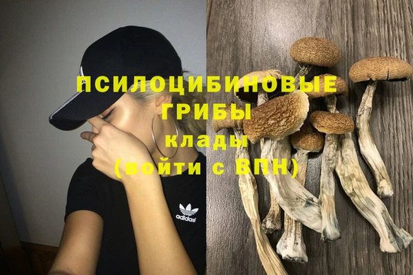 apvp Нефтекумск