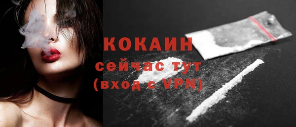 индика Надым