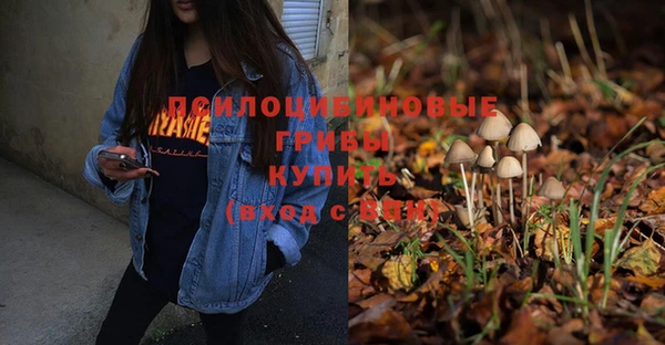 дурь Нефтегорск