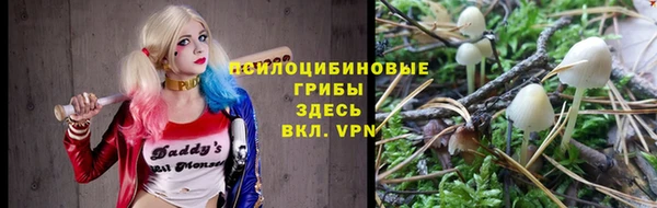 дурь Нефтегорск