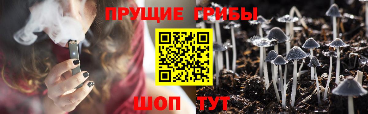 Светлоград  Галлюциногенные грибы Psilocybe  Вход с VPN 